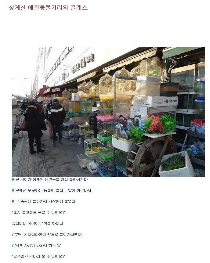 북항이를 보며 생각나는 유머_1.webp