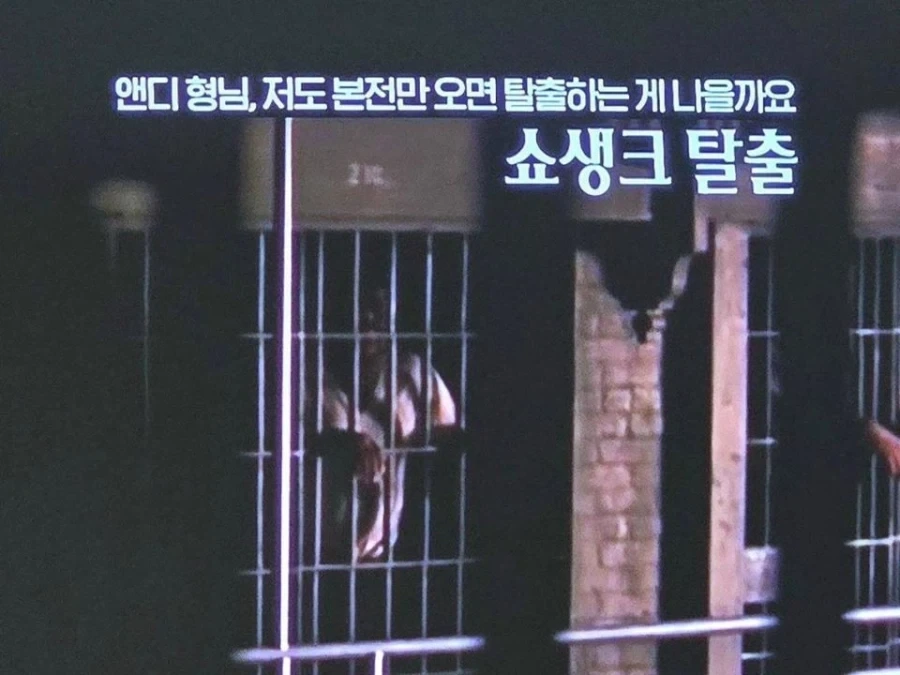 도대체 얼마나 물린건지 가늠이 안된다는 OCN 직원.jpg_2.webp
