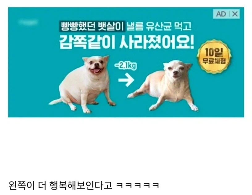 빼앗긴 행복_1.webp