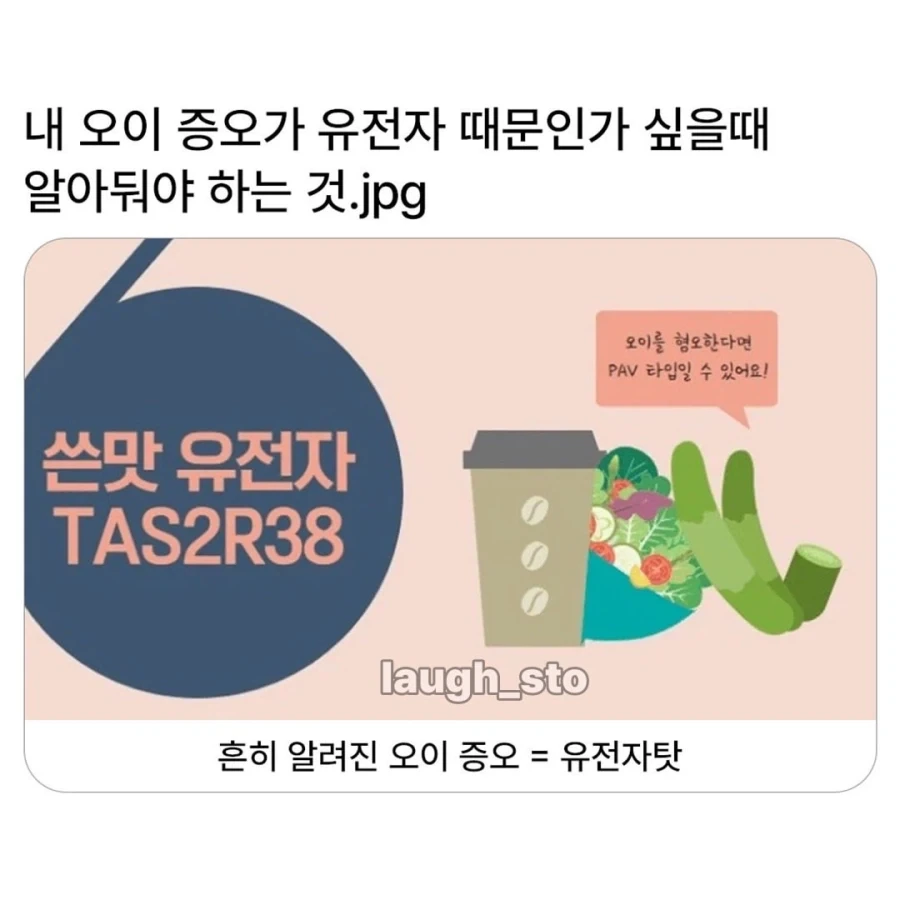 내 오이 증오가 유전자 때문인가 싶을때 알아둬야 하는것.jpg_1.webp