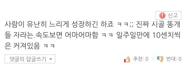 동물 키우는 사람들이 신기해하는 것.jpg_2.jpg