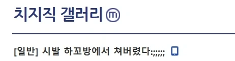 하꼬방에서 채팅쳐버렸다.jpg_1.webp