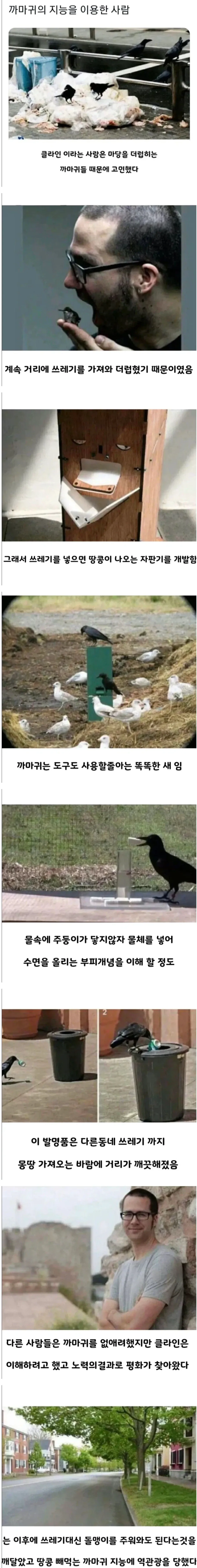 까마귀의 지능을 이용한 사람_1.webp