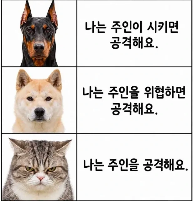 검댕 vs 흰댕 vs 냥_1.webp