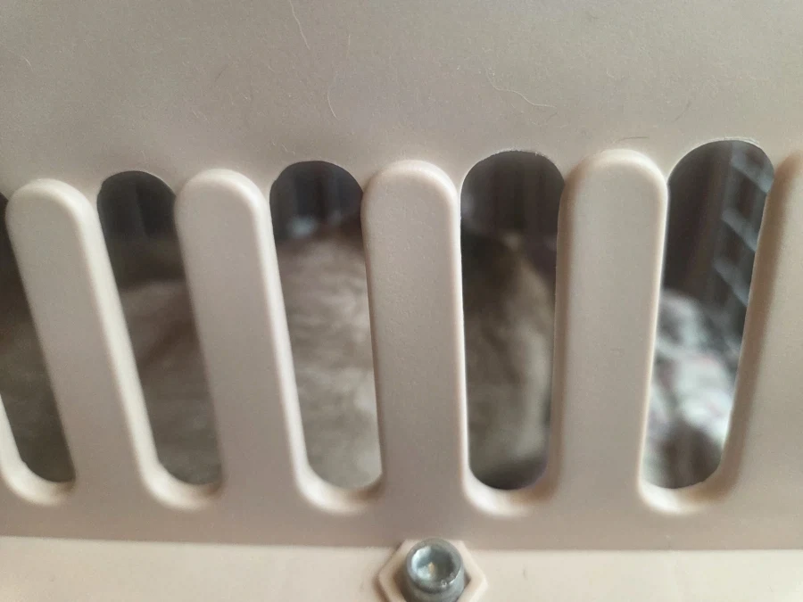 추석연휴 끝나고 집에서 뻗은 우리집 고양이_1.webp