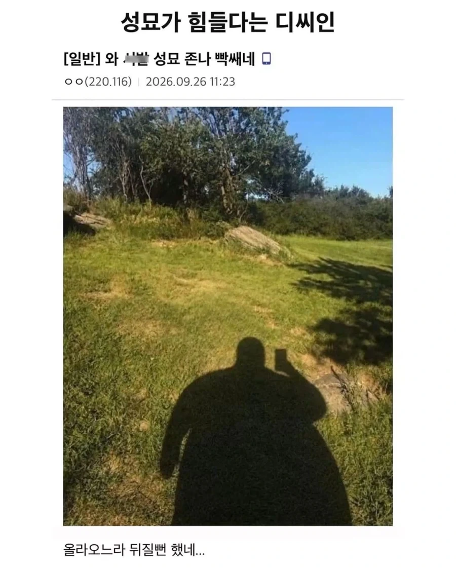 성묘가 힘들다는 디씨인.jpg_1.webp