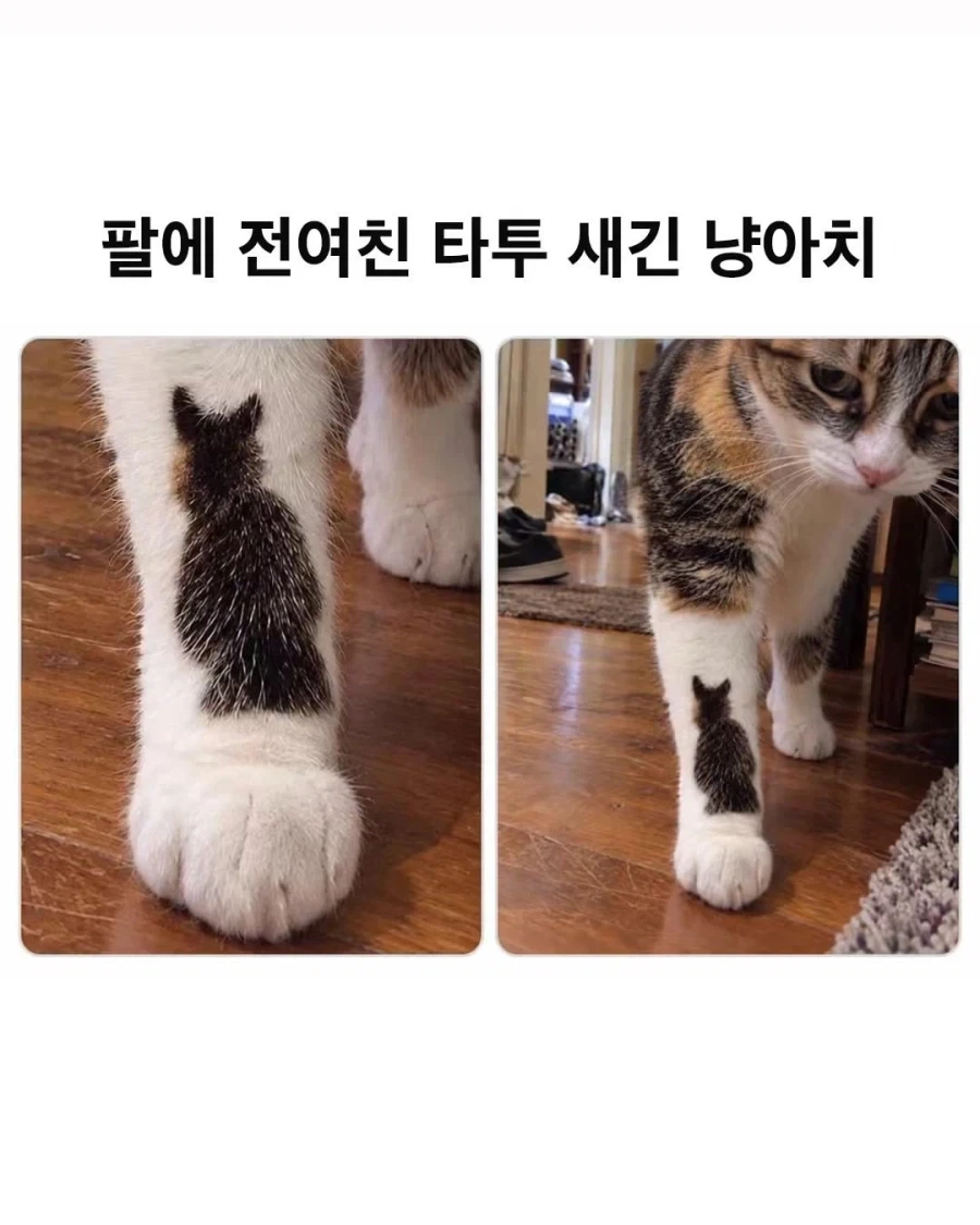 팔에 전여친 타투.jpg_1.webp