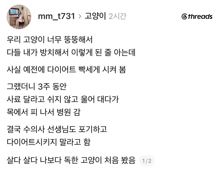 다이어트 못 시키는 독종 고양이._1.webp