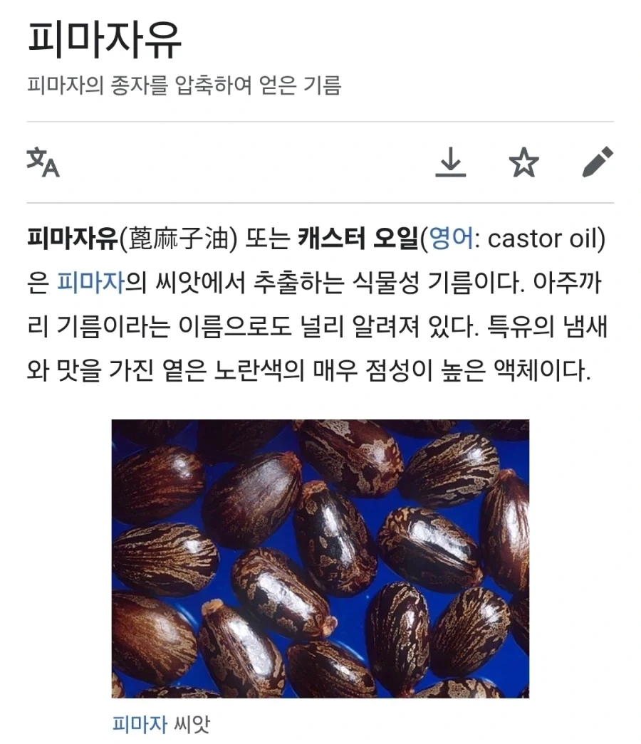 충청도 사람이 수혈 받기 전 의사에게 뭐라 하는지 아시유?_1.webp