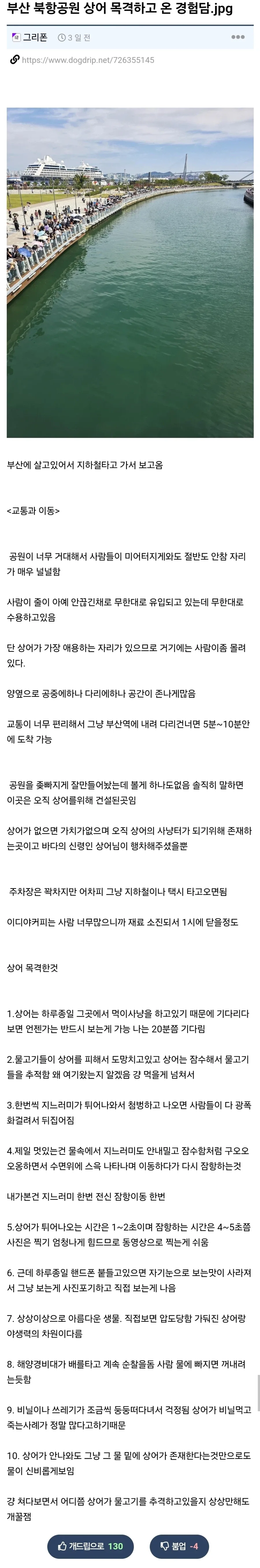 부산 북항공원 상어 목격하고 온 경험담.jpg_1.webp
