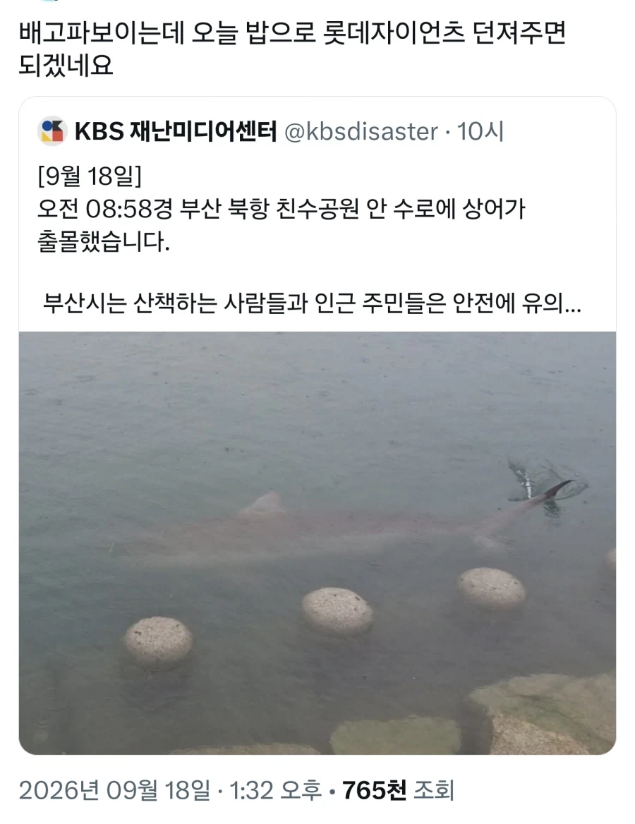 KBO) 롯데가 야구 성적 갑자기 좋아진 이유_1.webp