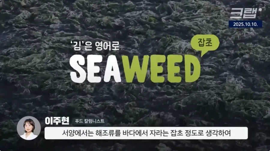 예전 서양인들은 먹지 않았던 김_3.webp