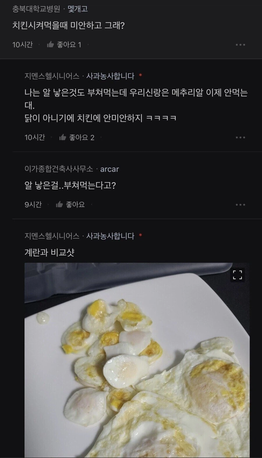 메추라기 자랑.jpg_7.webp