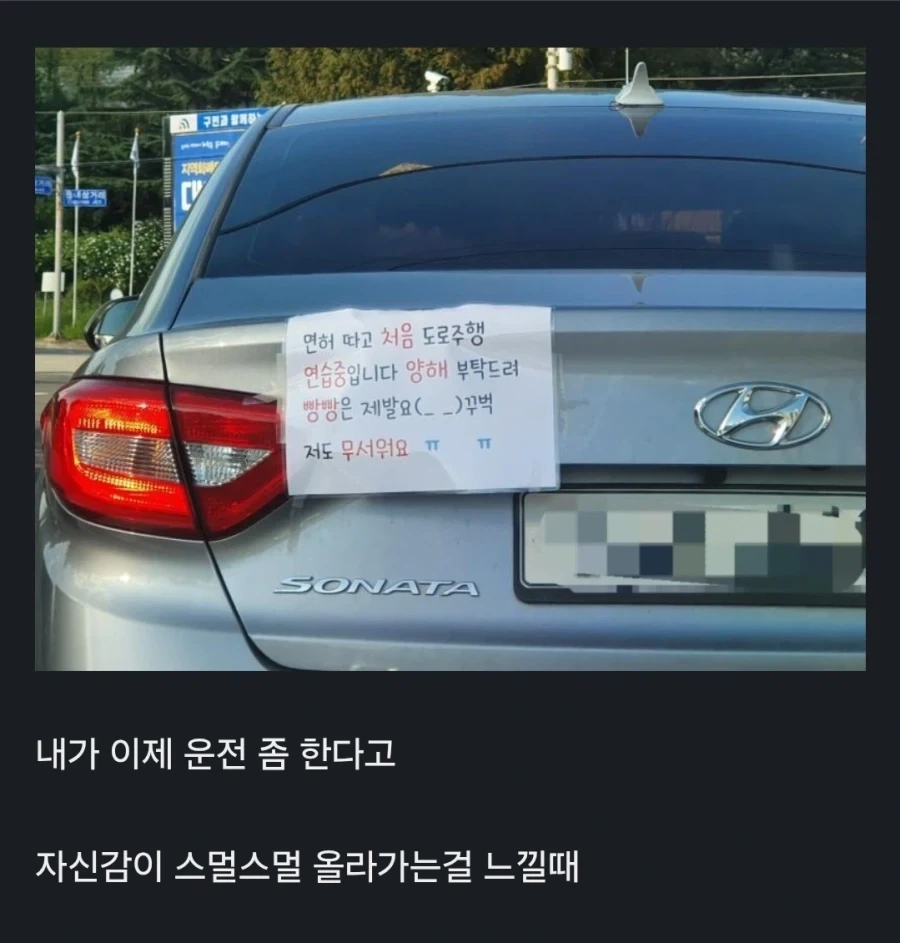 운전하다가 처음 사고날 시기 .jpg_1.webp