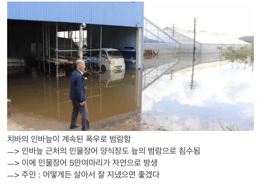 일본 홍수로 해탈한 장어양식장 주인_1.webp