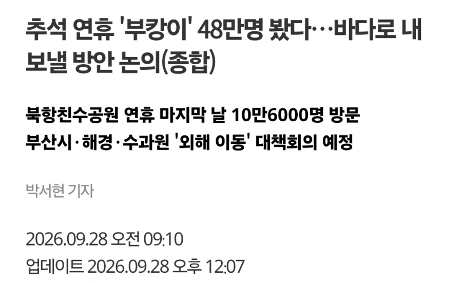 부산 상어가 불러일으킨 경제효과_1.webp