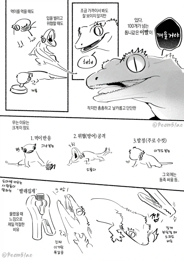 manga_76769169_29d2_001.webp
