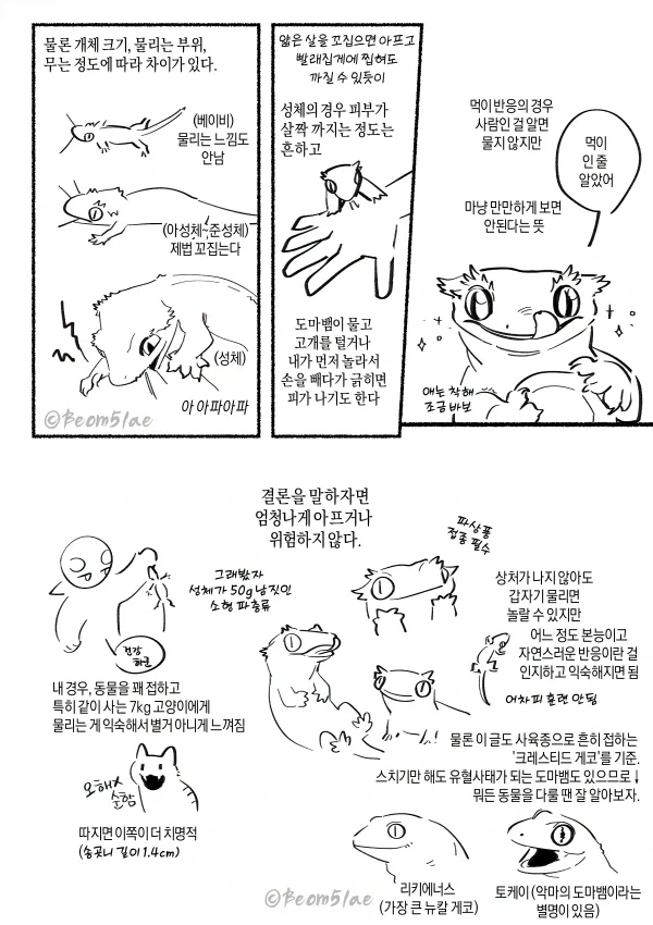 manga_76769169_29d2_002.webp