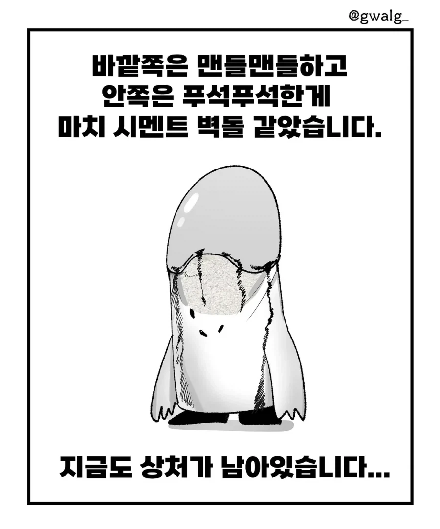 manga_76769257_8abd_009.webp