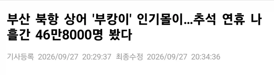 부산 상어 부캉이...