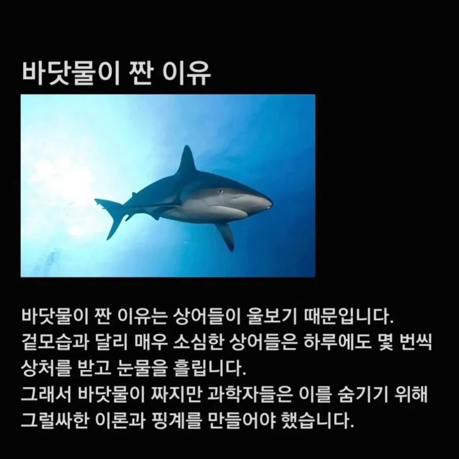 너무슬픔) 바닷물이 짠 이유_1.webp