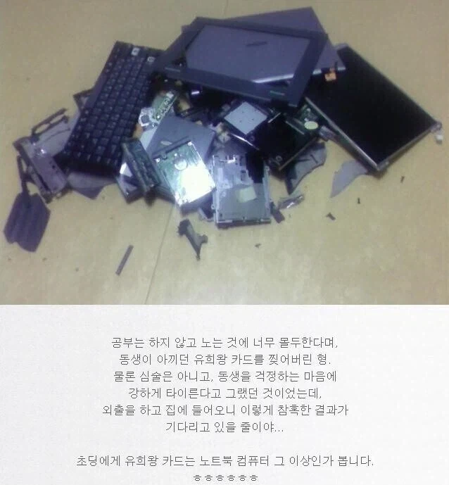 동생이 아끼는 유희왕 카드를 찢었더니_1.webp