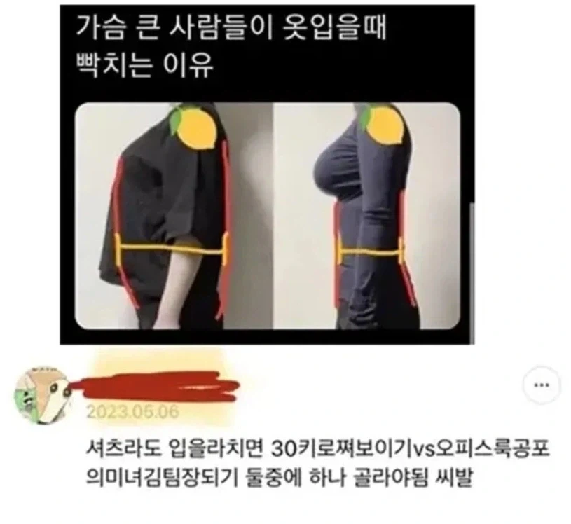 가슴 큰 사람들이 옷 입을 때 빡치는 이유_1.webp