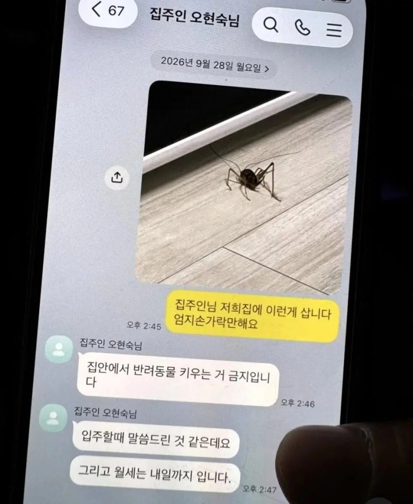 집에서 반려동물 키우다 걸린 세입자 ㄷㄷ_1.webp