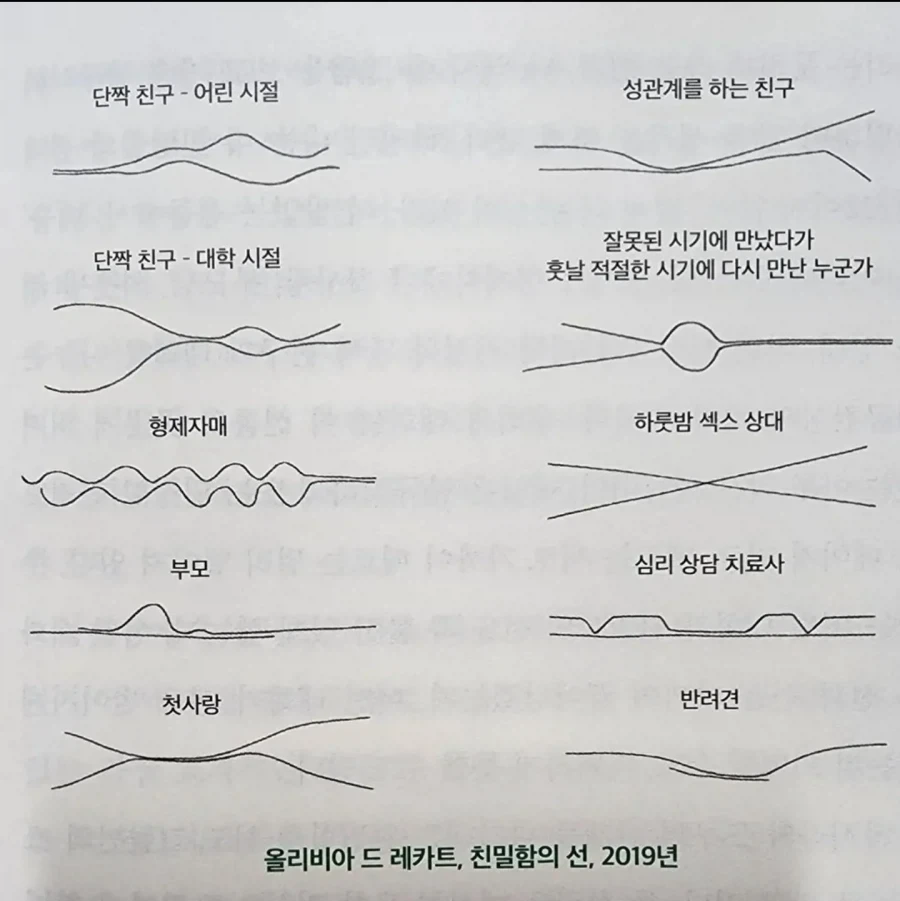 선의 관계.jpe_1.webp