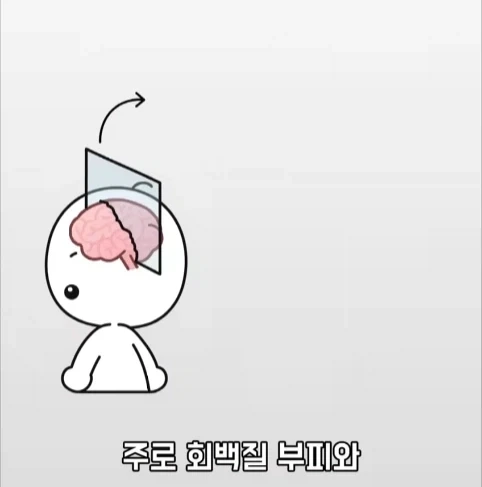 아빠가 되면 남자의 몸에도 변화가 생긴다는 연구.jpg_14.webp