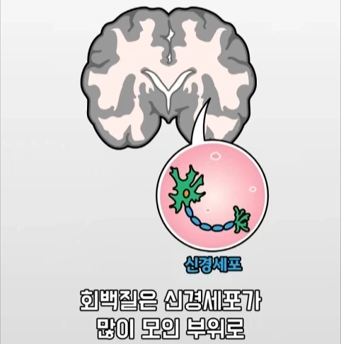 아빠가 되면 남자의 몸에도 변화가 생긴다는 연구.jpg_16.webp