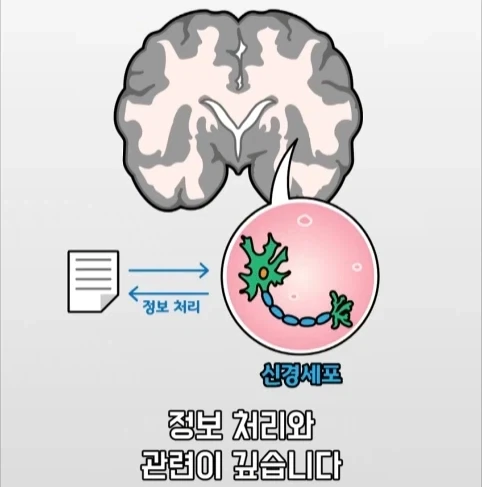 아빠가 되면 남자의 몸에도 변화가 생긴다는 연구.jpg_17.webp