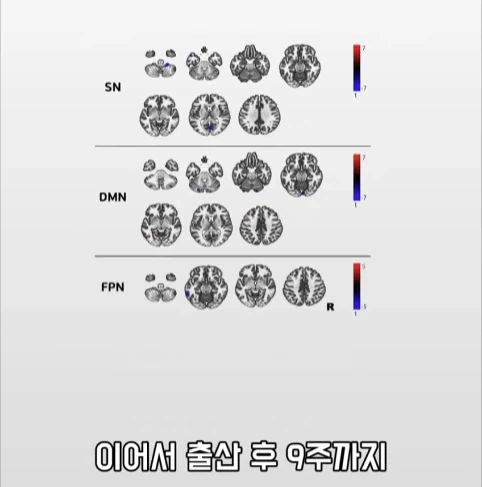 아빠가 되면 남자의 몸에도 변화가 생긴다는 연구.jpg_29.webp