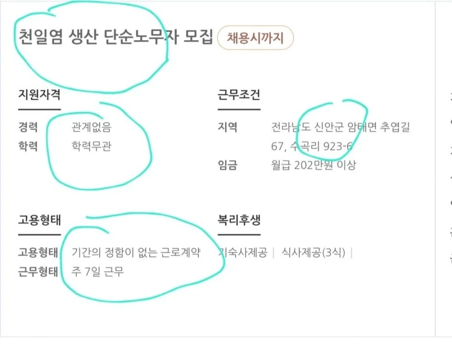 흔한 신안의 염전 일자리 모집.JPG_1.webp