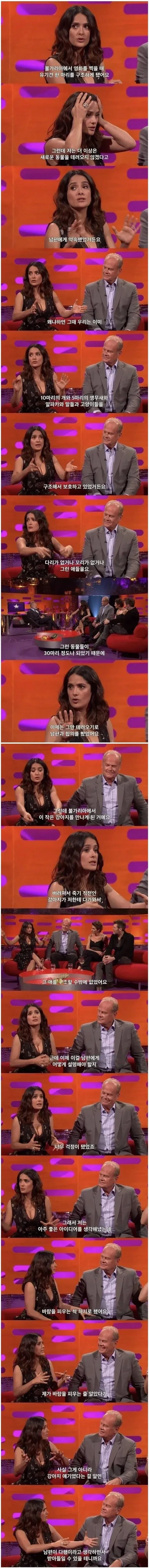 여보 미안해... 너무 외로워서 그랬어_1.webp