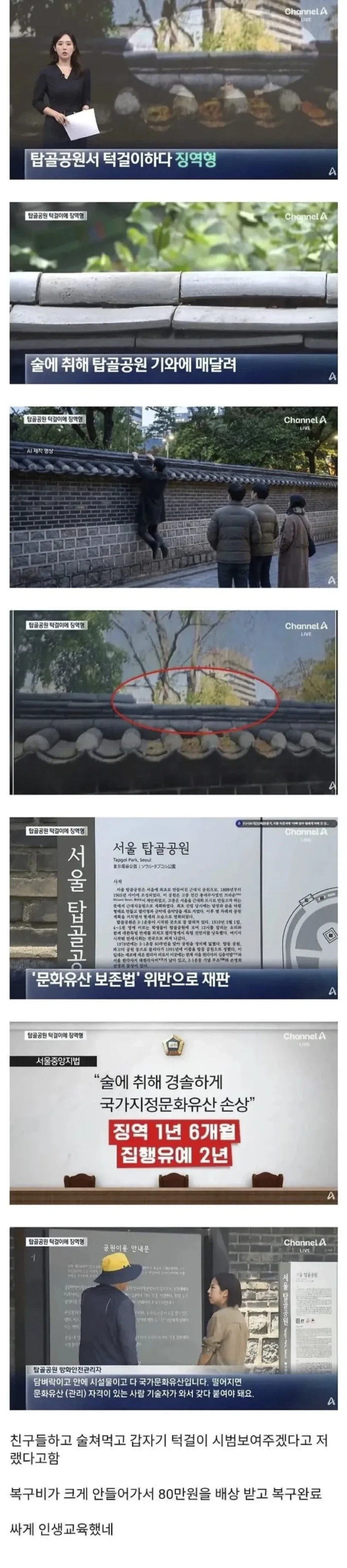 턱걸이 하다 징역형_1.webp