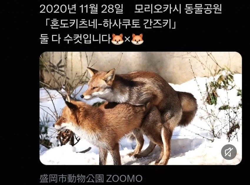 기합찬 퍼리_1.webp