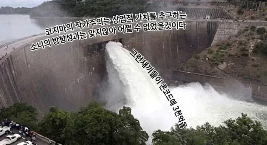 앞으로 10년 간은 소니가 수익성 운운할 때 마다 나올 거 같은 말_1.webp