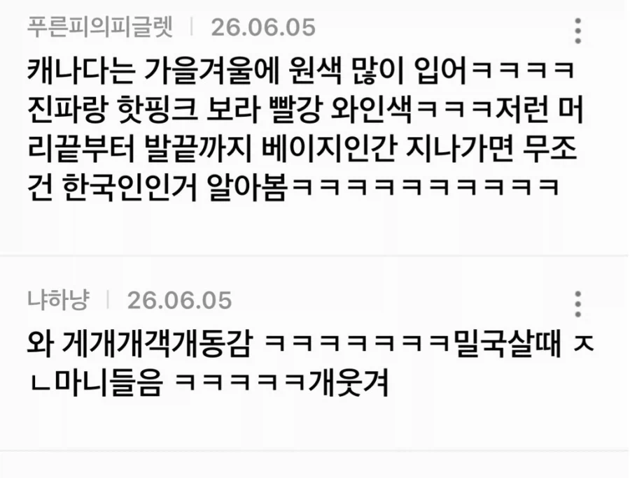 해외 살 때 정말 많이 들었던 코리안 컬러.jpg_4.webp