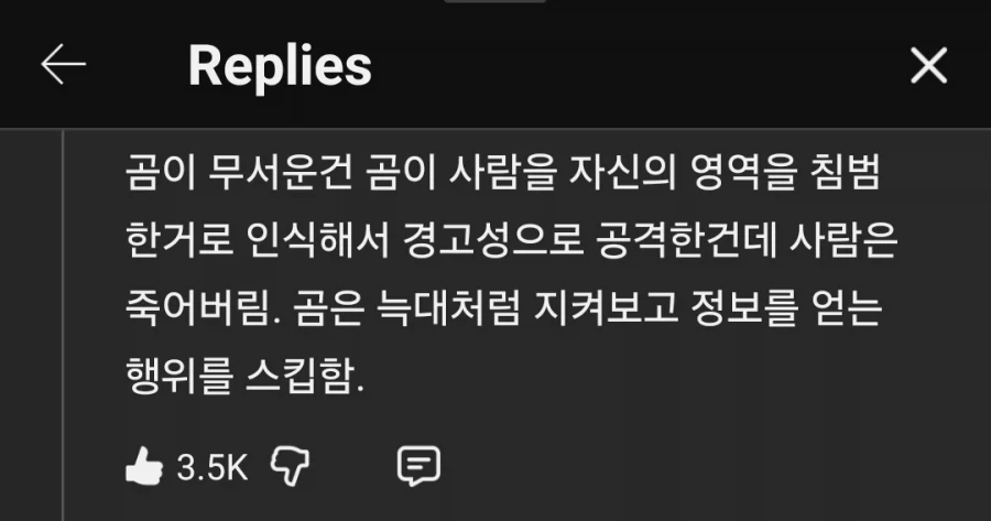 곰은 인간을 죽일 의도가 1도 없다는 연구결과_1.webp
