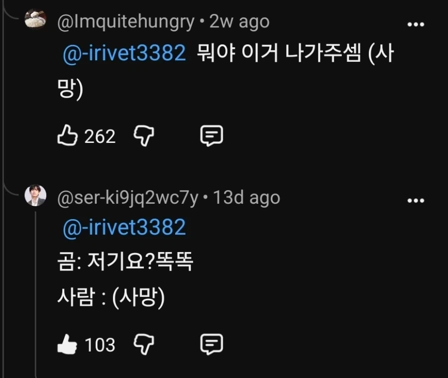 곰은 인간을 죽일 의도가 1도 없다는 연구결과_2.webp