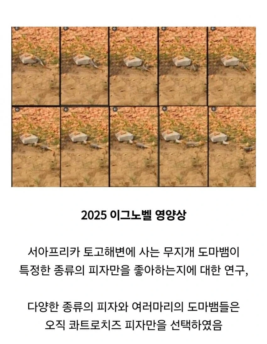 콰트로치즈피자가 제일이며 이는 무지개_1.webp