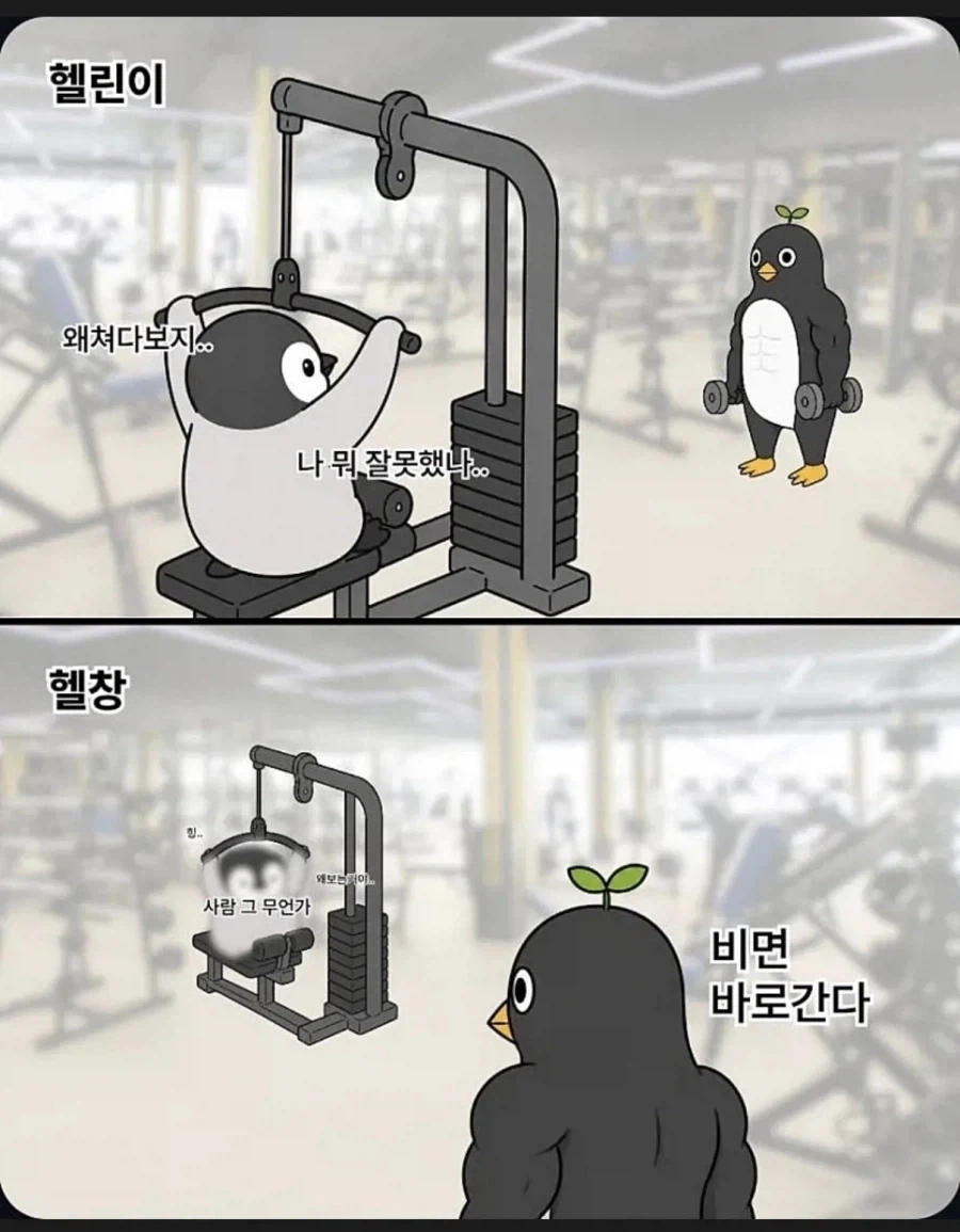 헬스장에서 쳐다보는 고인물.jpg_1.webp