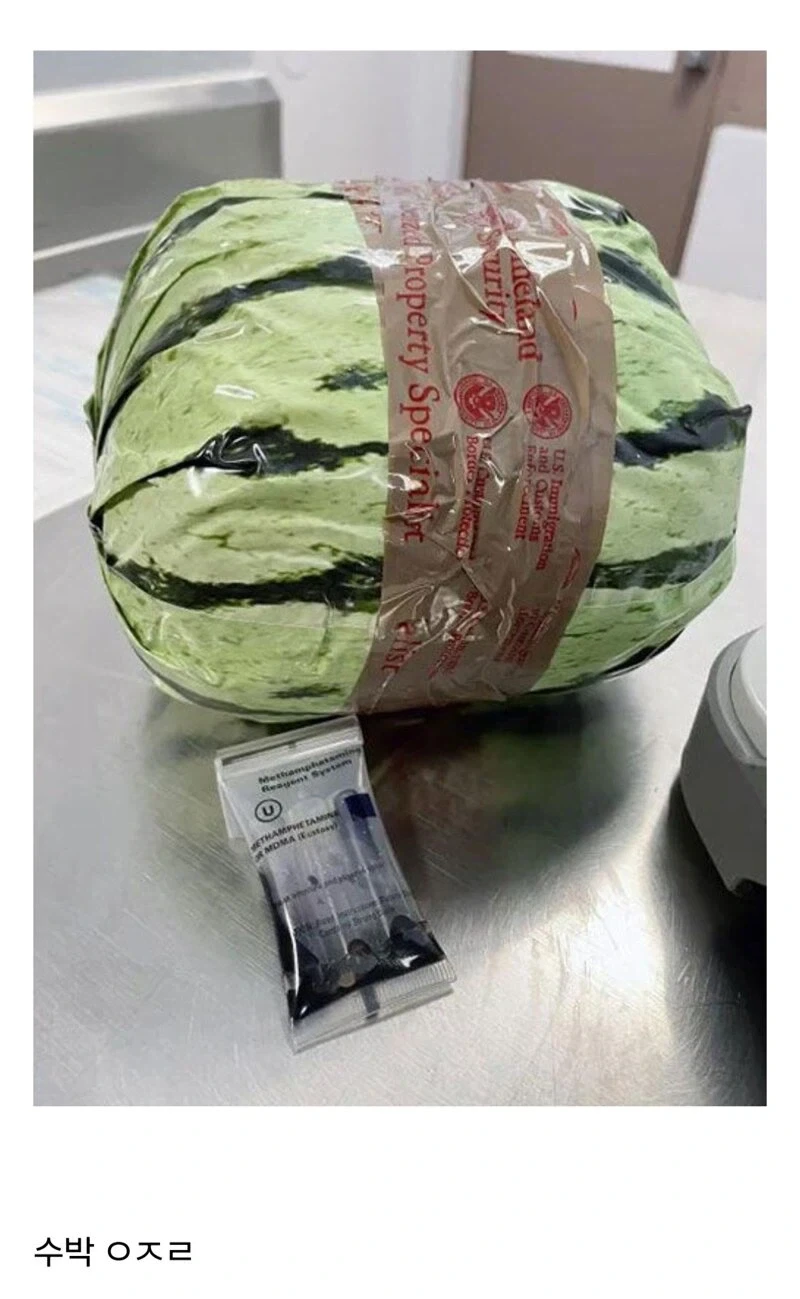 마.약을 수박으로 둔갑시켜 밀수입 하려던 사건.jpg_1.webp