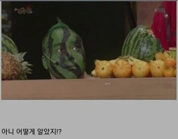 마.약을 수박으로 둔갑시켜 밀수입 하려던 사건.jpg_2.webp