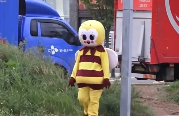 파주 일산 꿀벌이 활동 중단_1.webp