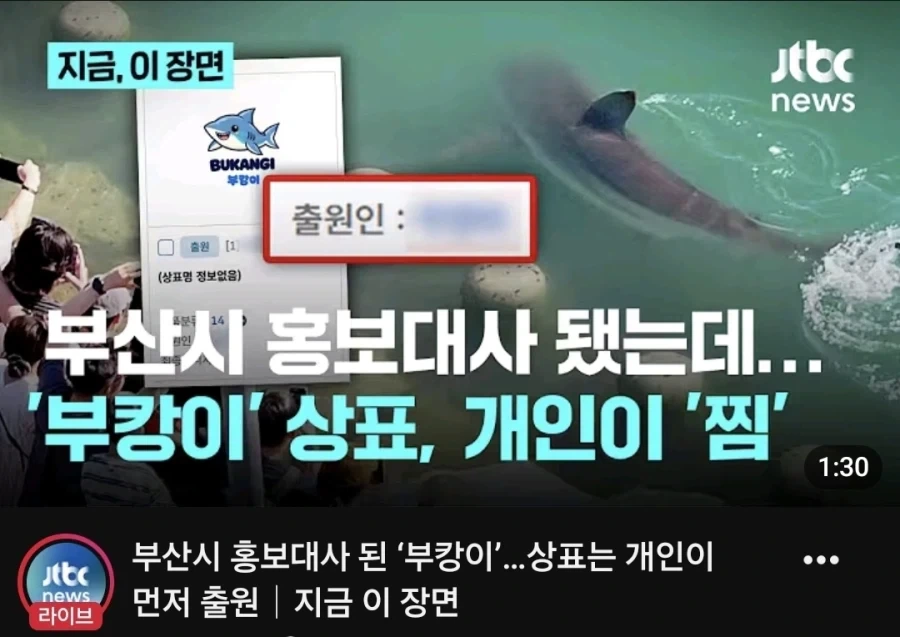 부캉이를 명예홍보대사로 위촉하려던 부산 시._1.webp