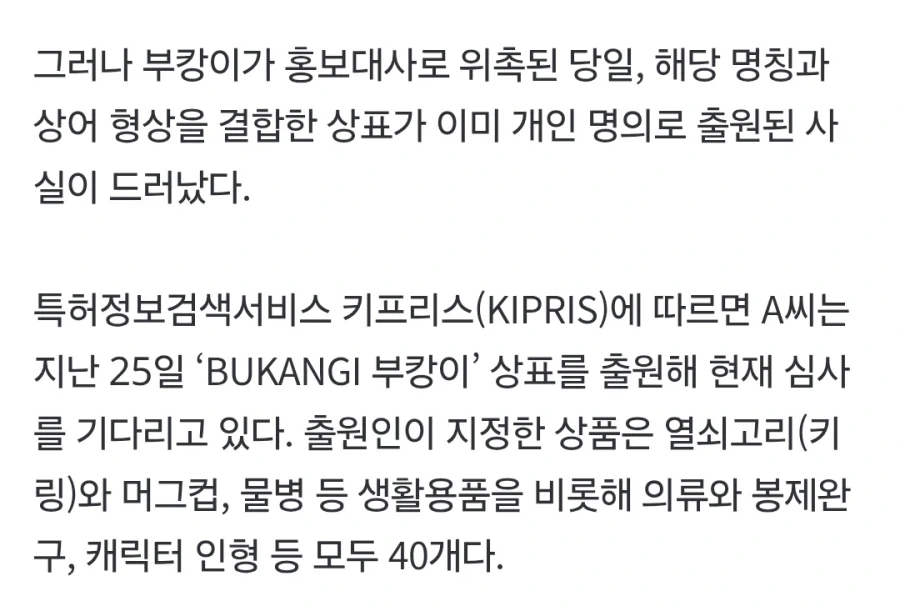 부캉이를 명예홍보대사로 위촉하려던 부산 시._4.webp