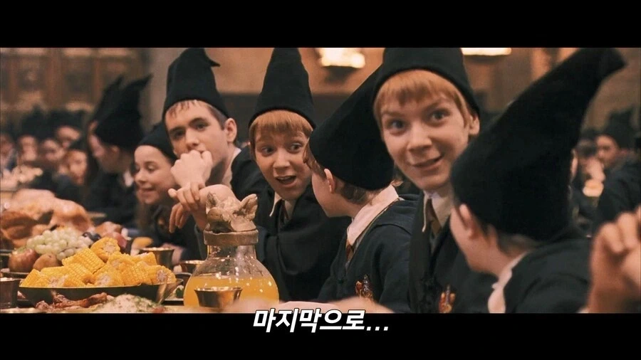 해리포터) 아무리 생각해도 너무한 설정_15.webp