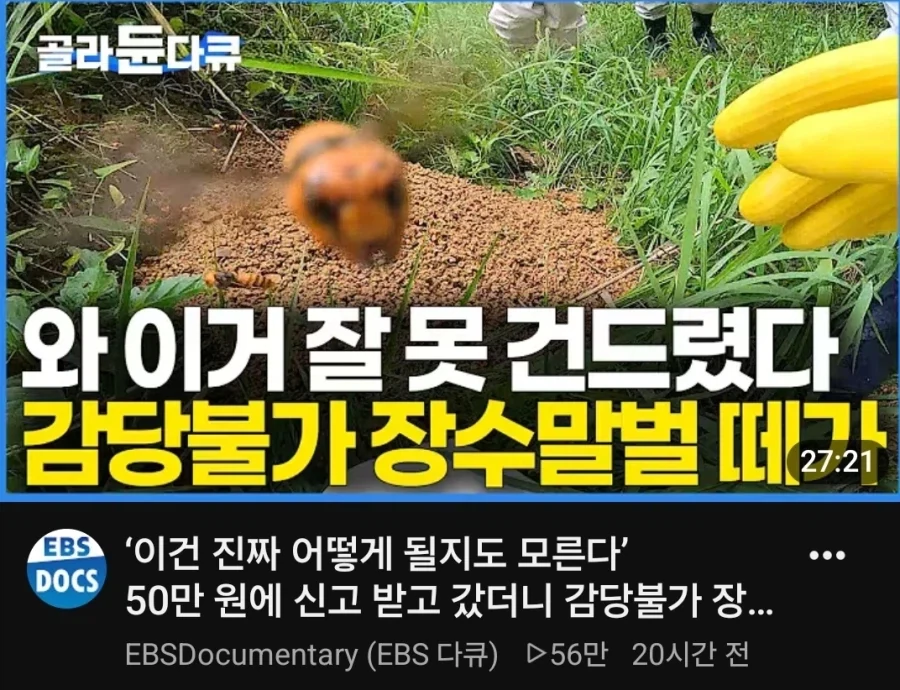 어느 공익채널의 폭력적 썸네일_1.webp